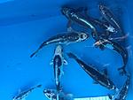 IMG 6865