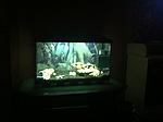 IMG 0881