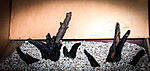 IMG 7575