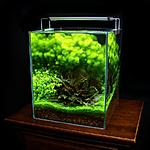 rey aquarium 1