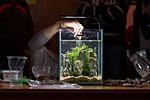 IMG 4991