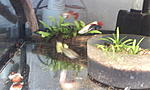 IMG 20130122 002615