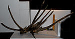 IMG 7583