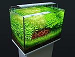 rey aquarium