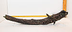 IMG 7561