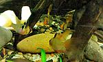 IMG 20160907 193712