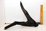 IMG 7568