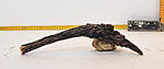 IMG 7557