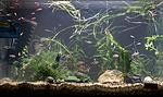 Image00002