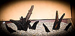 IMG 7578