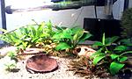 IMG 20161106 131434