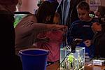 IMG 4997