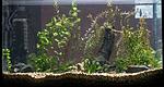 Image00004