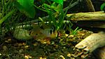 IMG 20160907 193333