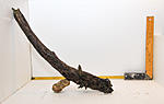 IMG 7560