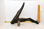 IMG 7567
