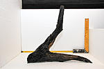IMG 7566