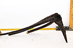IMG 7563