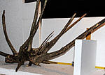 IMG 7586