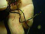 DSCN6758