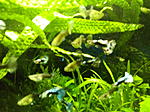 IMG 20161029 200247