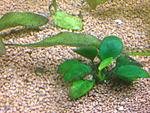 IMG 8190