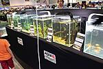 IMG 0420