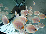 IMG 4256