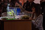 IMG 4984