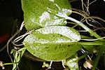 DSC00247