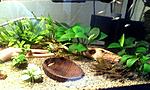 IMG 20161106 131509