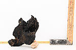 IMG 7535