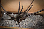 IMG 7589