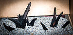 IMG 7573