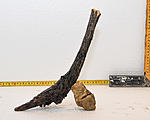 IMG 7558