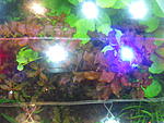 IMG 0684