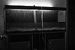 IMG 5310