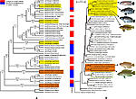 12862 2006 Article 301 Fig2 HTML