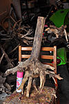 DSC 3434
