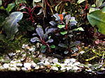 DSCF1799