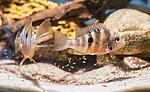 IMG 5066