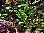 DSCF1804