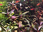 DSCF1889