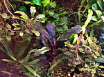 DSCF1836