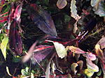 DSCF1902