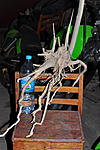 DSC 3398