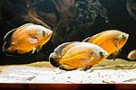 IMG 5076