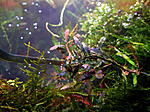 DSCF1873
