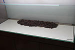 IMG 7649