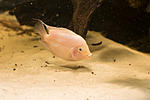 IMG 5645